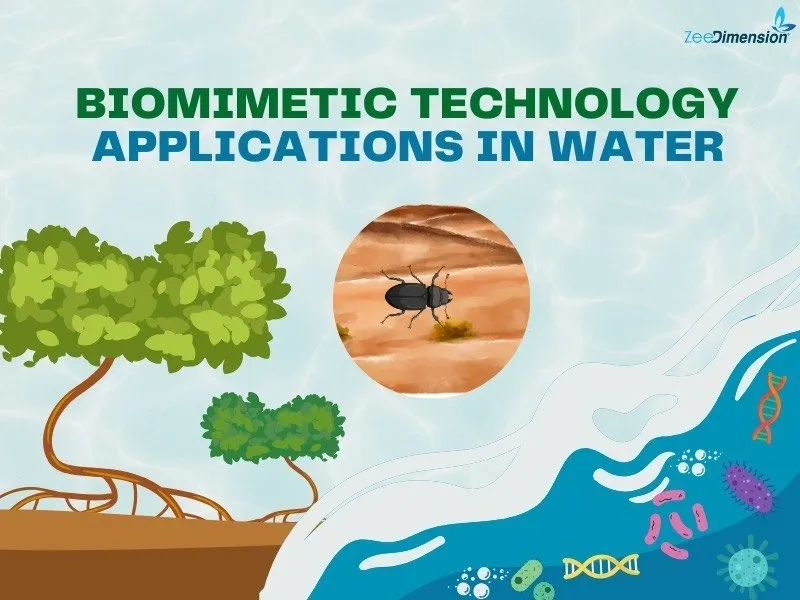 Biomimetic Technology Applications in Water.
