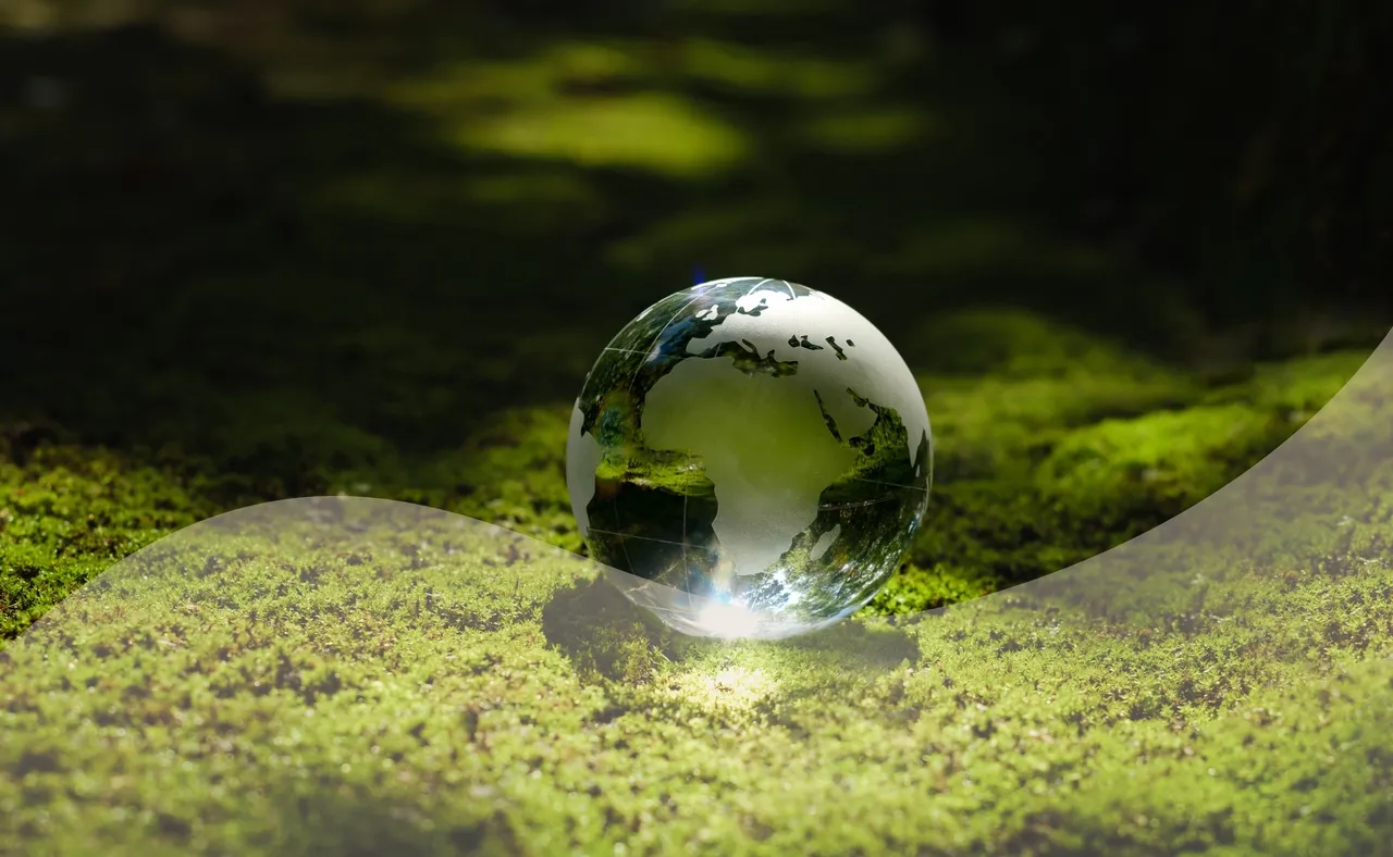 How are ESG Scores calculated?