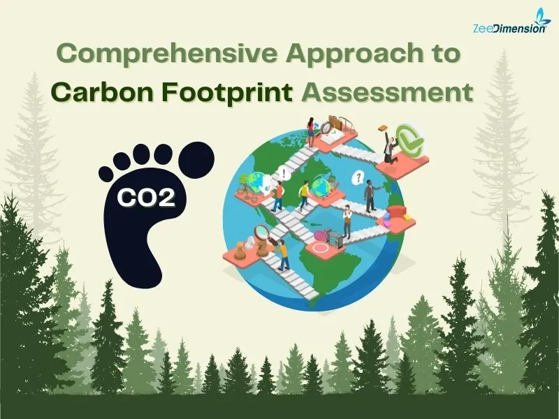 Comprehensive Approach to Carbon Footprint Assessment