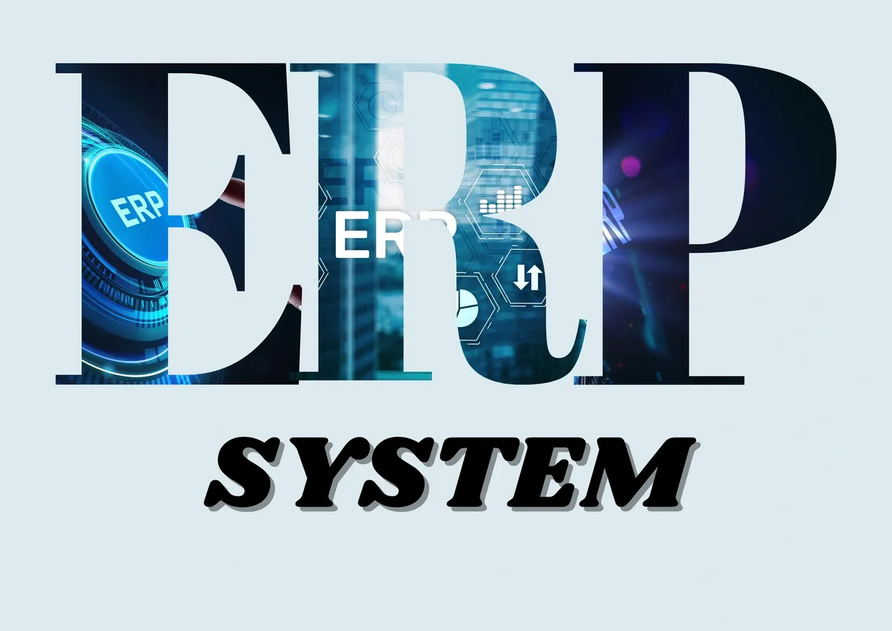 Why Is It Essential to Audit Your ERP System?
