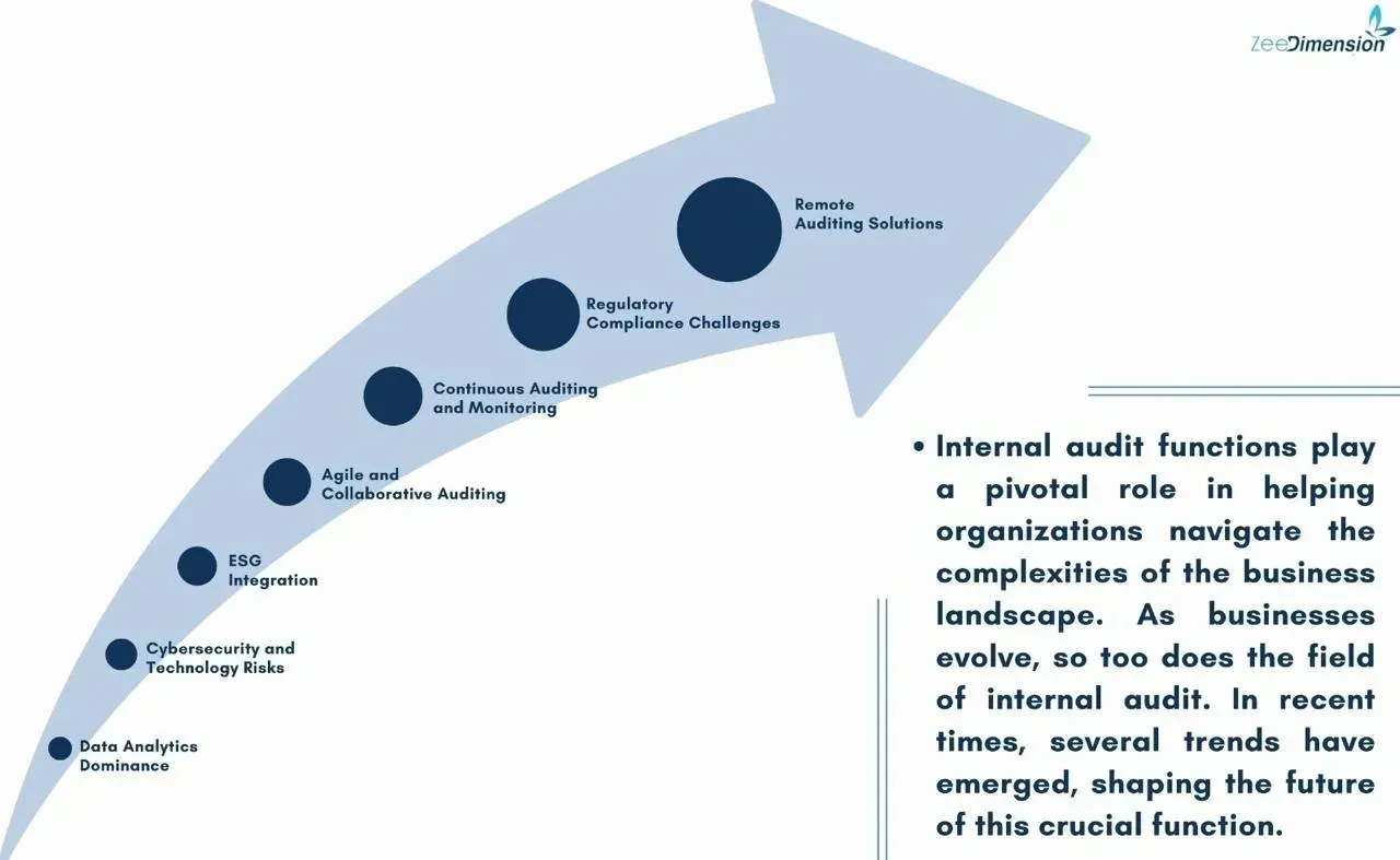 What should an internal auditor learn in 2024?