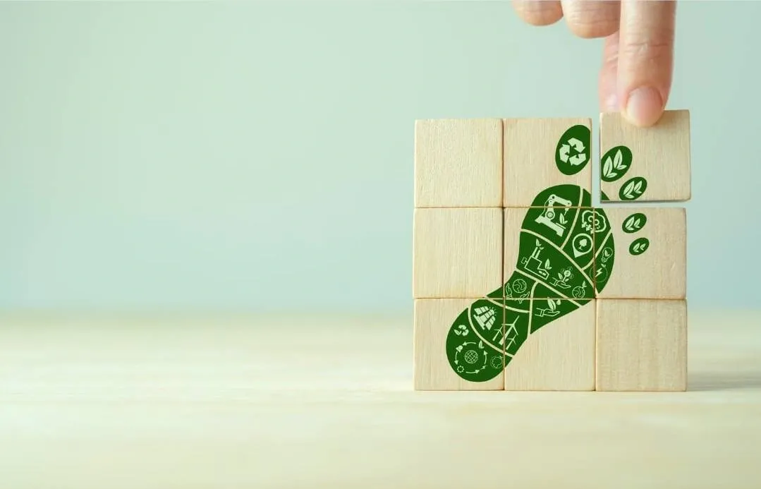 How to calculate your Carbon Footprint? 
