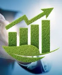 What is the impact of ESG Audit?